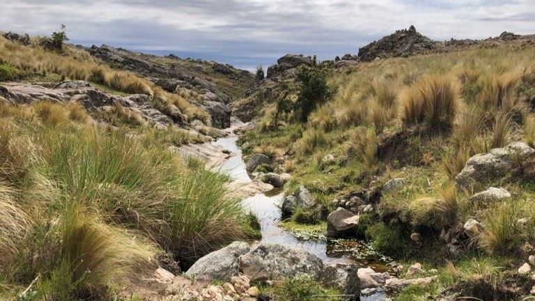 Trekking Até O Passo Garay foto 5