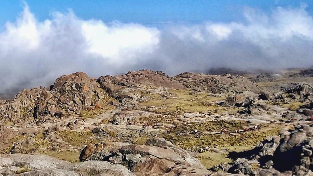 Trekking Corona Hill foto 5