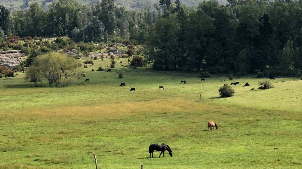 Travessia De Trilha Para A Vila Alpina foto 4