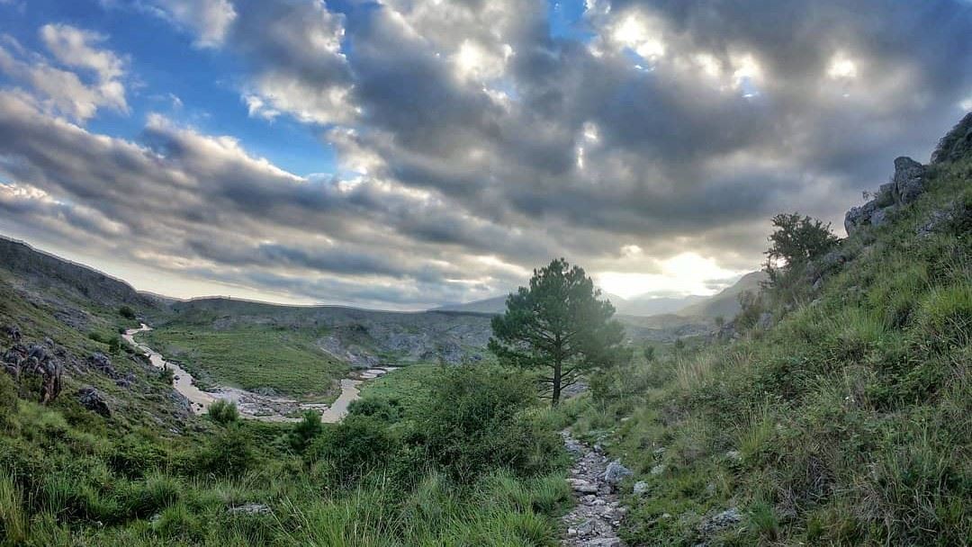 Travessia De Trilha Para A Vila Alpina foto 7