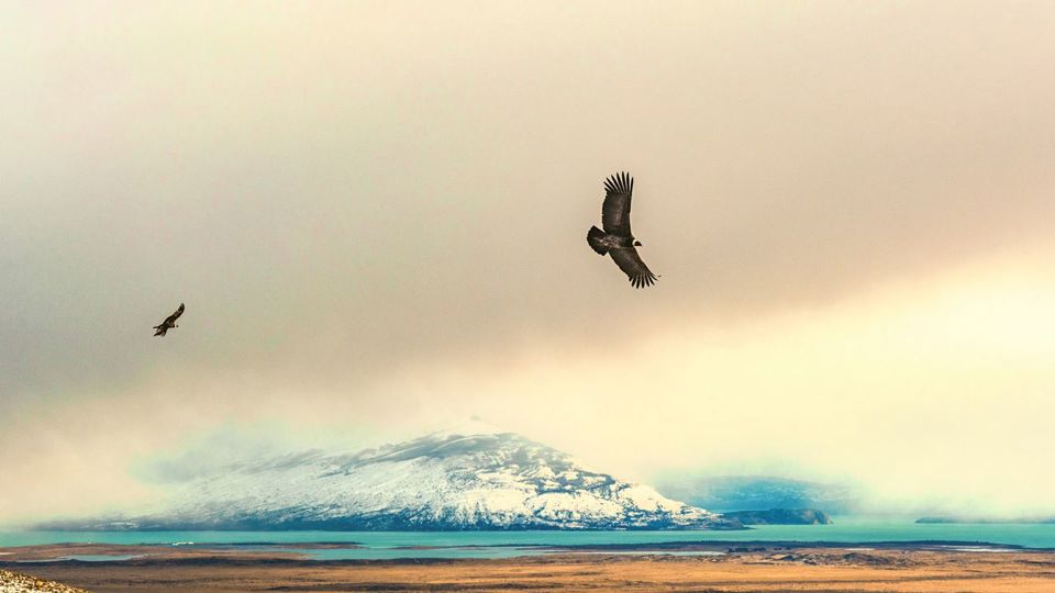 Trekking No Cerro Frias foto 6