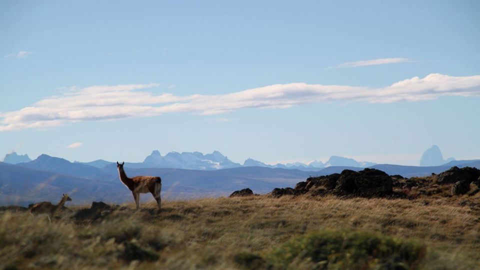 Trekking No Cerro Frias foto 3