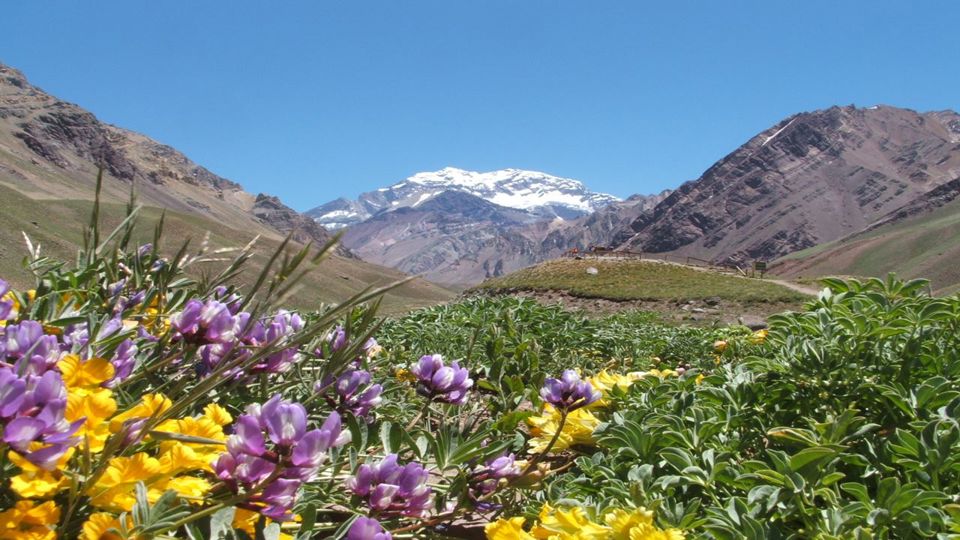 Trekking Em Aconcagua Provincial Park foto 1