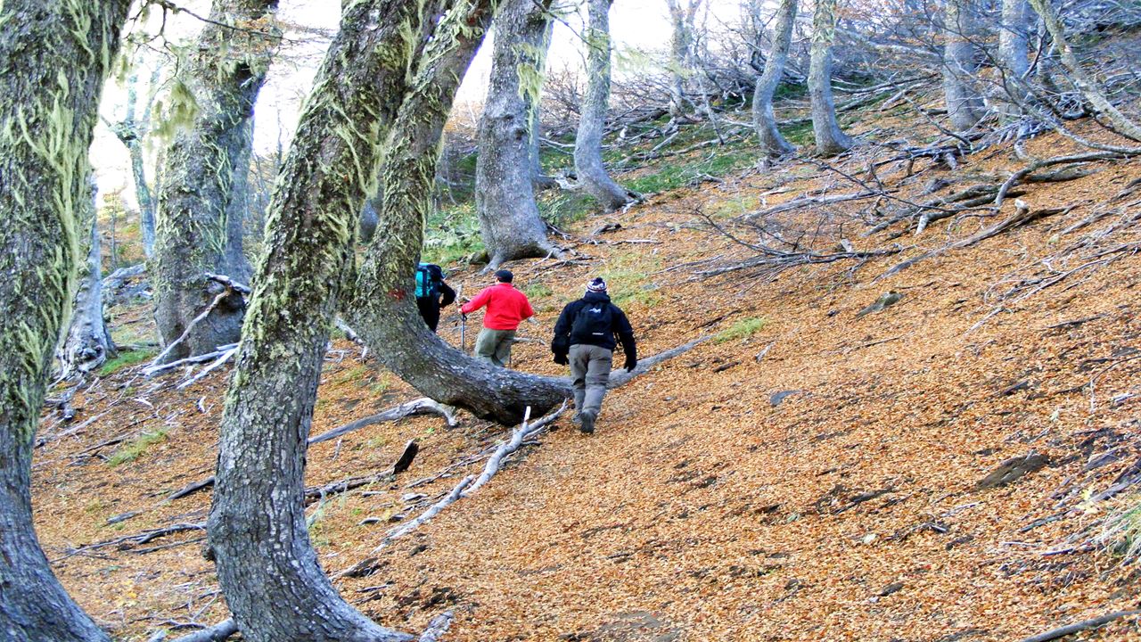 Trekking En El Volcán Colorado foto 2