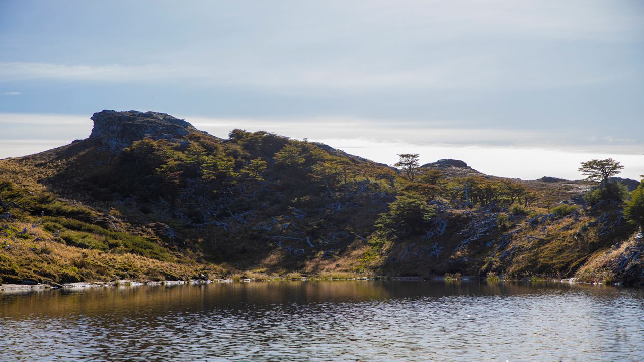 Trekking Lagunas Gemelas (9)