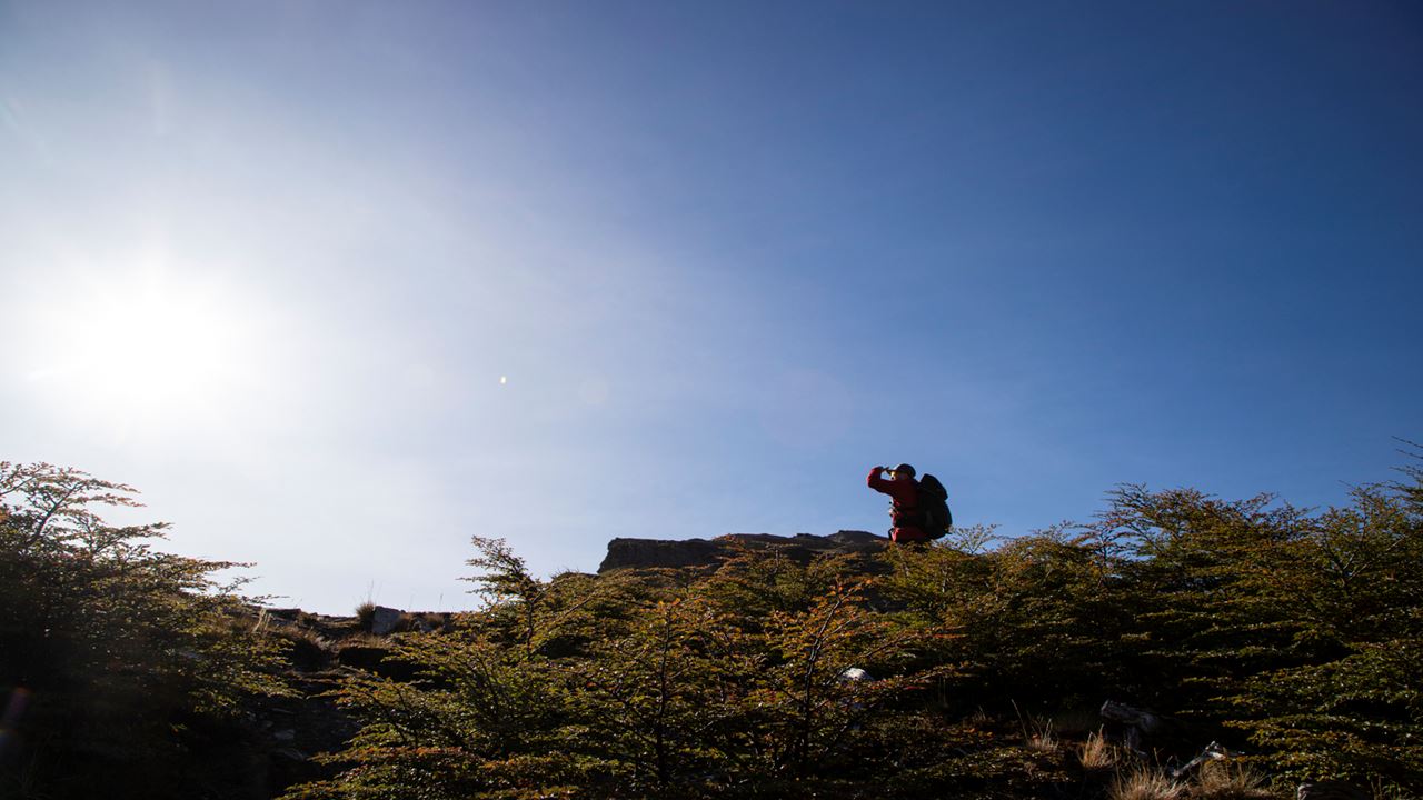 Trekking Lagunas Gemelas (11)