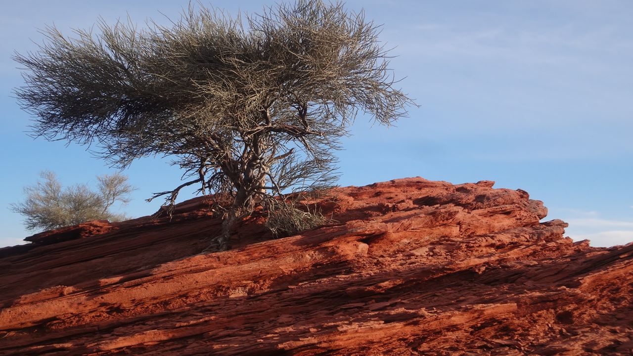 Trekking Pinturas Rupestres En Villa Unión foto 4