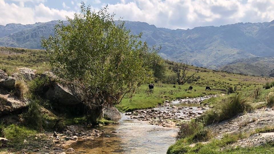 Trekking Pelo Desfiladeiro De Socavon foto 1