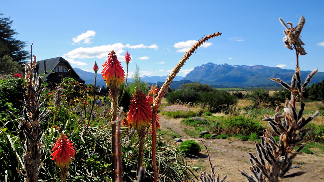 Trevelin Y Ruta Galesa foto 7