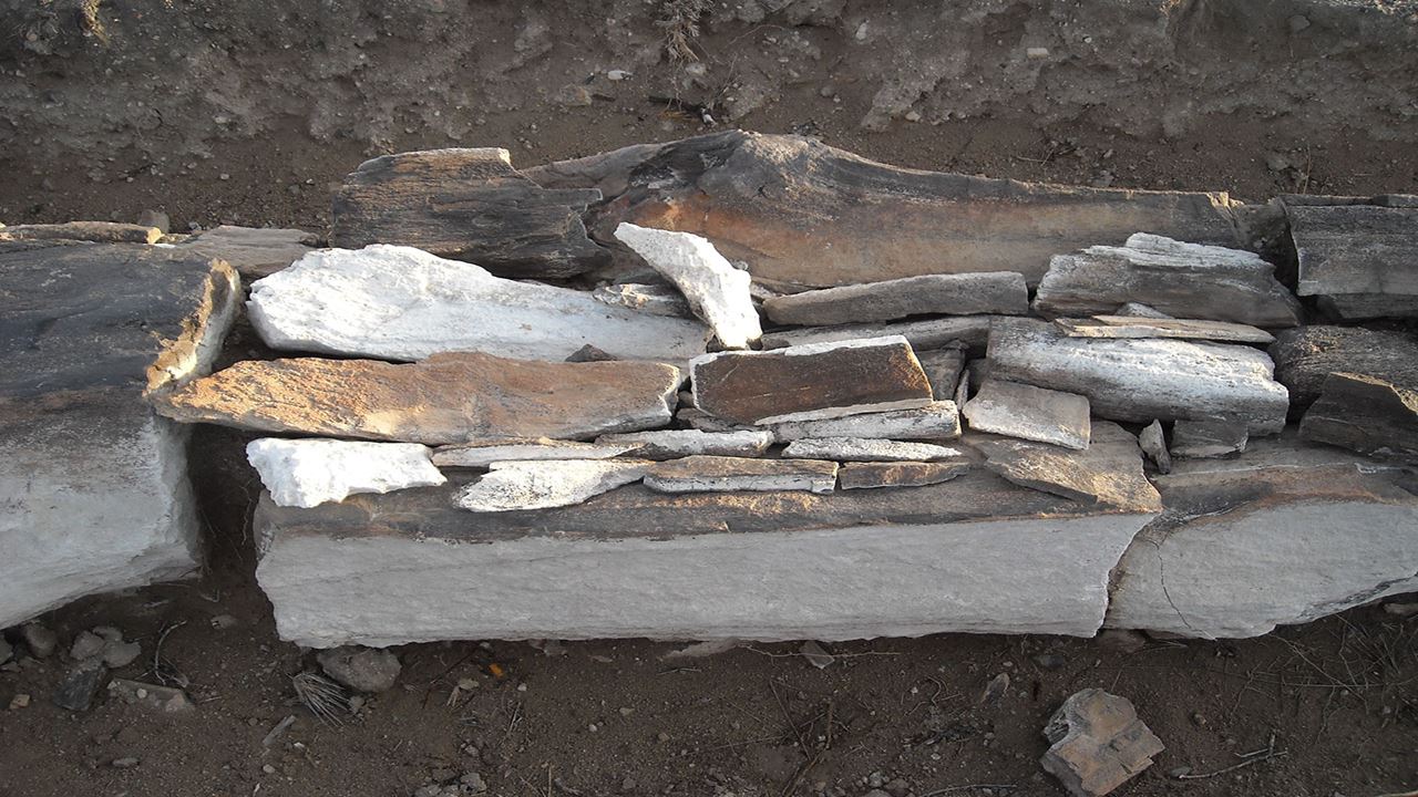 Valcheta Petrified Forest foto 8