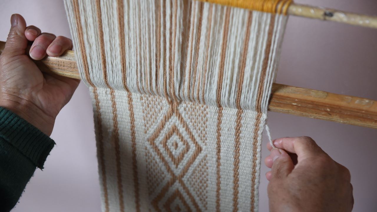 Valcheta Petrified Forest foto 7