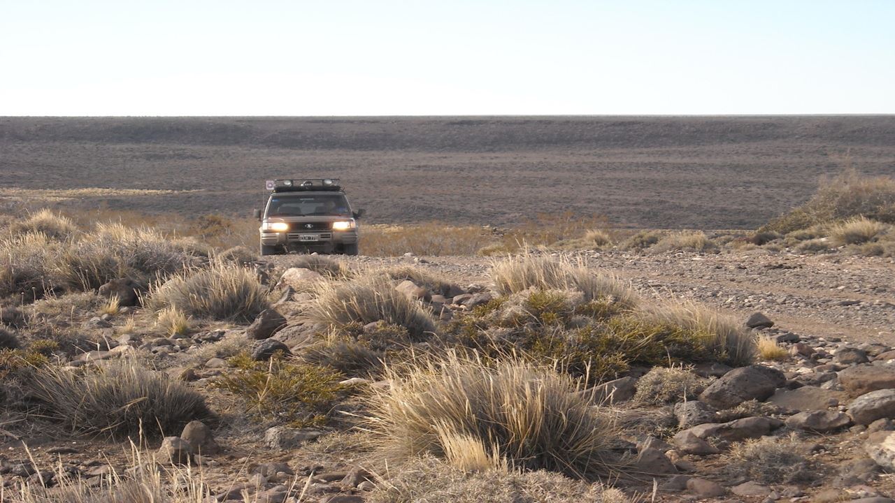 Valcheta Petrified Forest foto 6