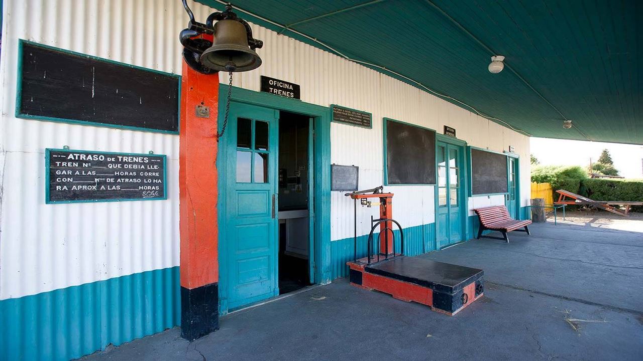 Valcheta Petrified Forest foto 5