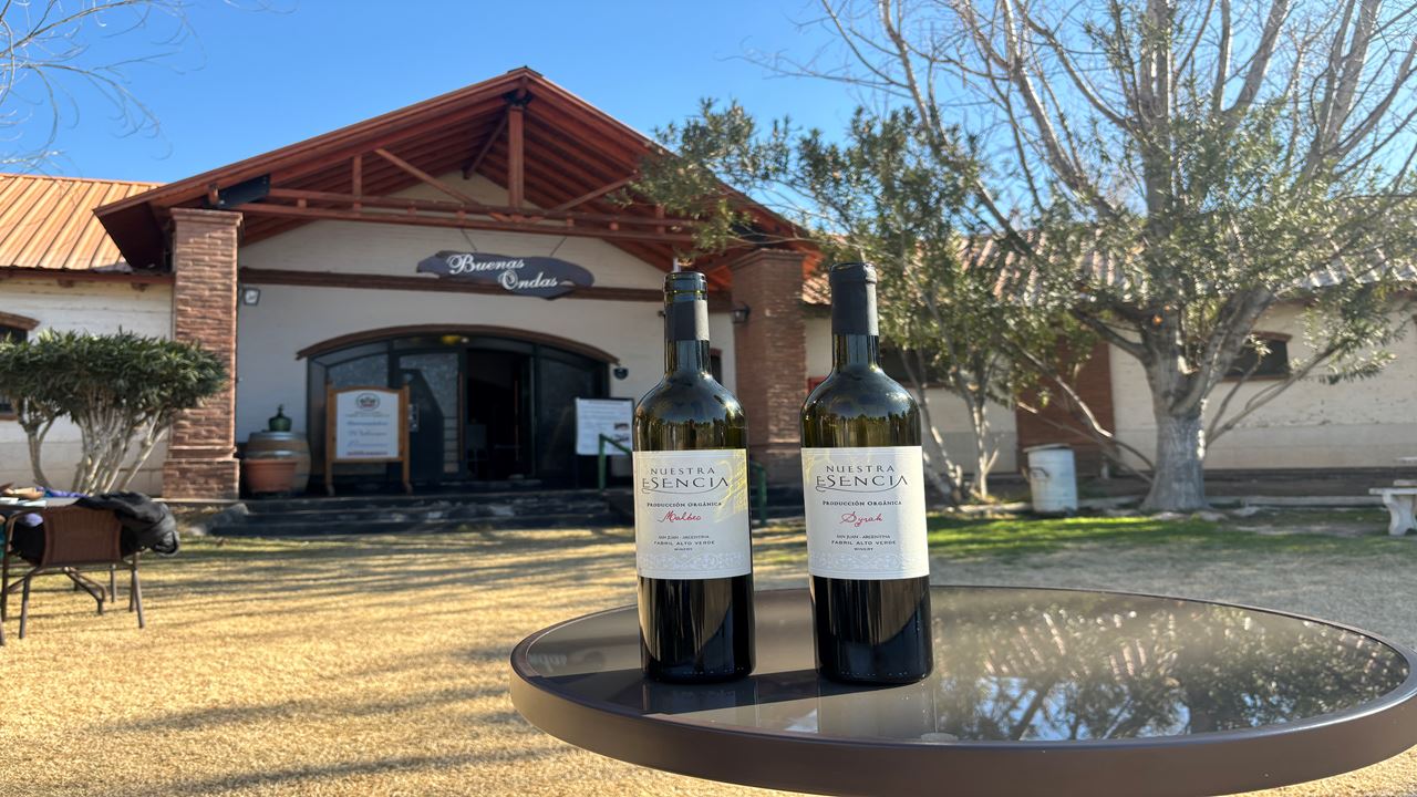 Vinhas E Adegas - Rota Do Vinho foto 2