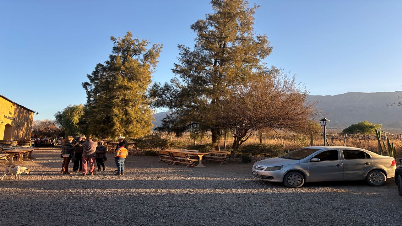 Vinhas E Adegas - Rota Do Vinho foto 5