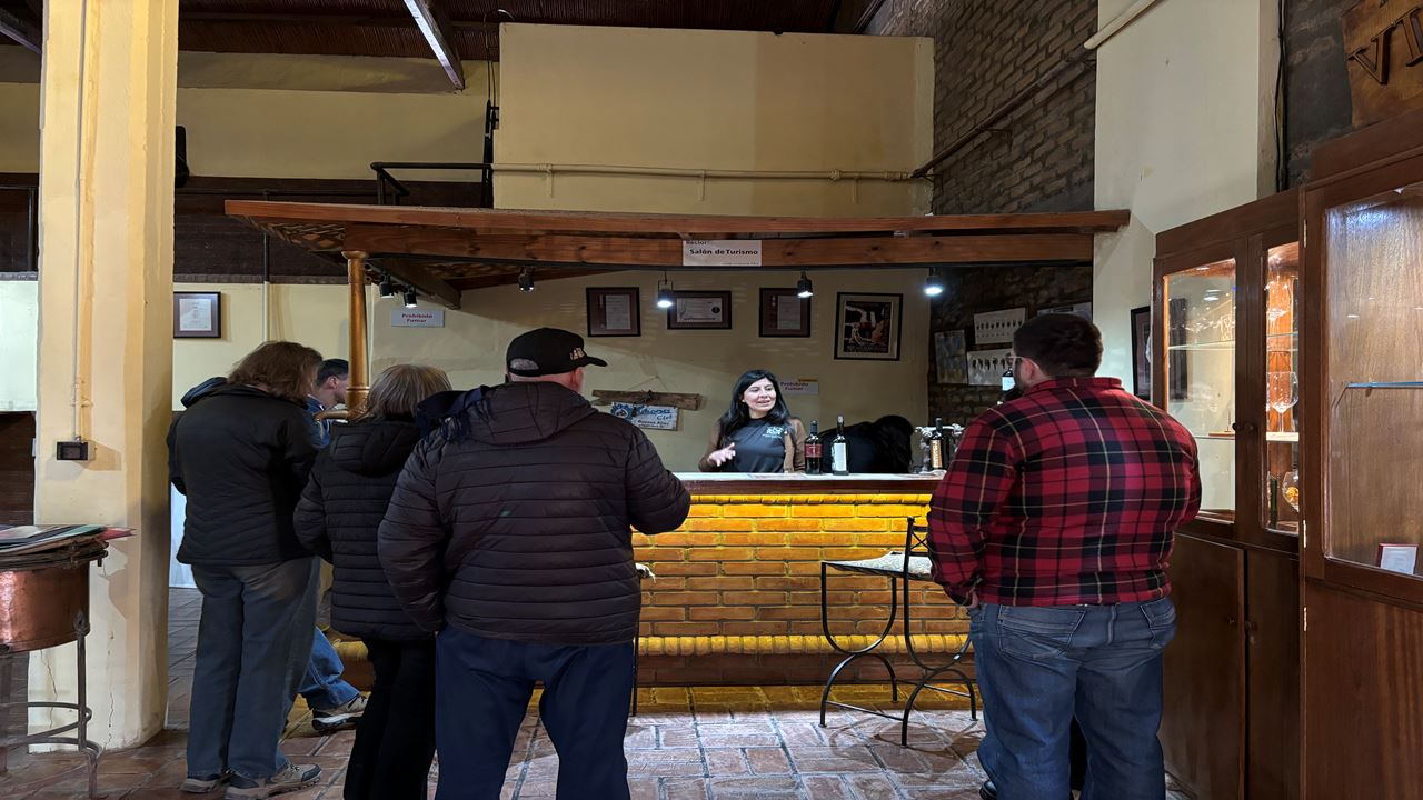 Vinhas E Adegas - Rota Do Vinho foto 3