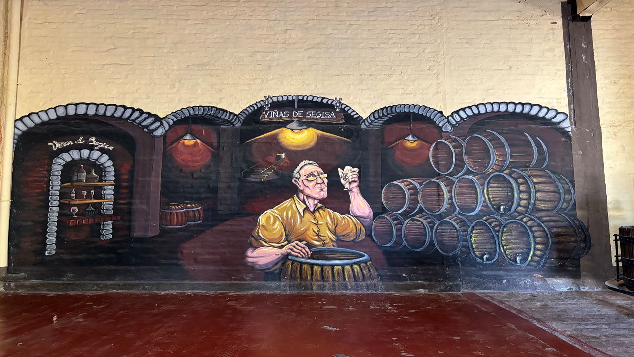 Vinhas E Adegas - Rota Do Vinho foto 10