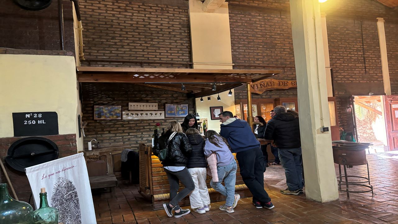 Vinhas E Adegas - Rota Do Vinho foto 7