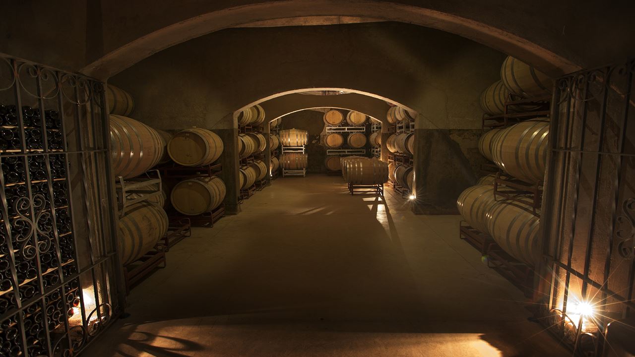 Visit To Clos De Chacras Winery With Wine Tasting foto 9