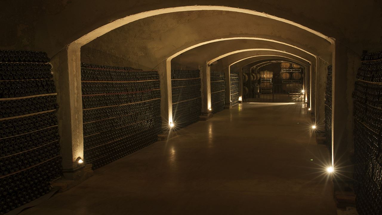 Visit To Clos De Chacras Winery With Wine Tasting foto 4