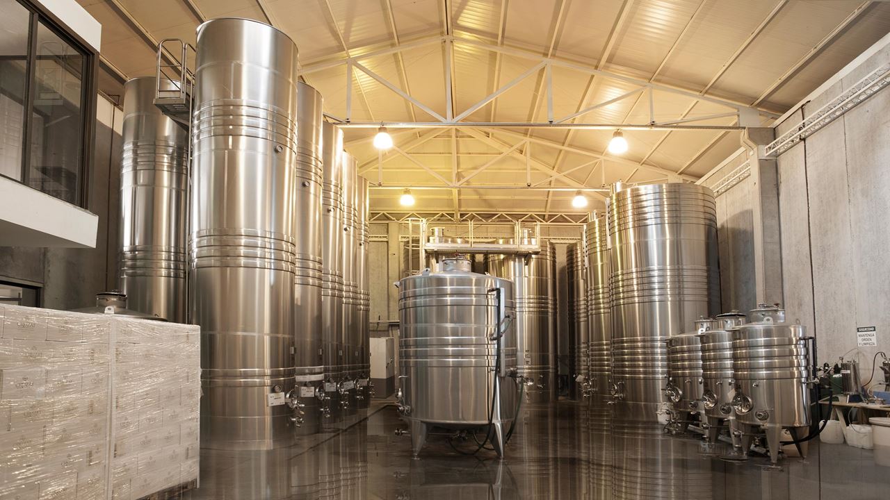 Visit To Cruzat Winery With Wine Tasting foto 6