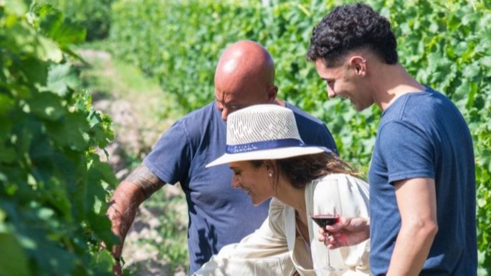 Winery Tour With Tasting And Lunch In Maipú foto 6