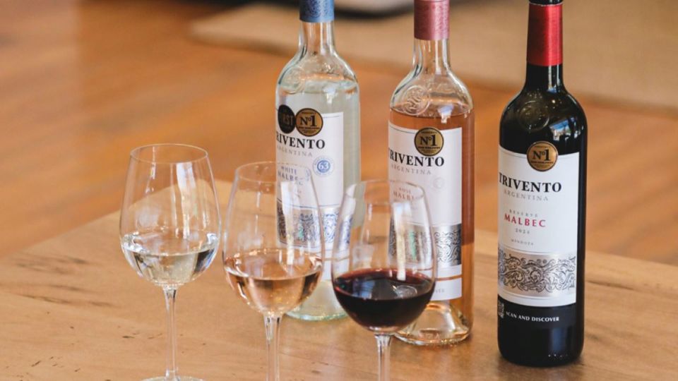 Winery Tour With Tasting And Lunch In Maipú foto 2