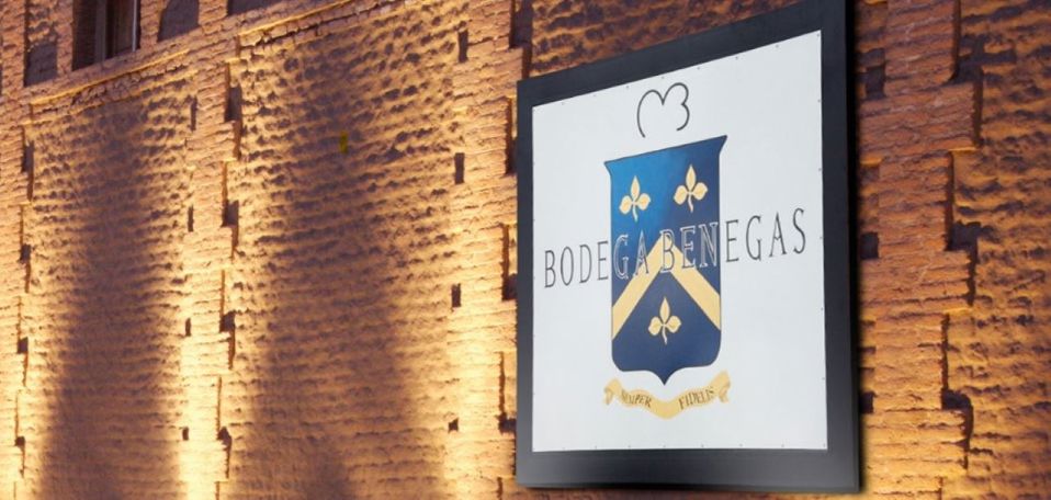 Winery Tour With Tasting And Lunch In Maipú foto 4