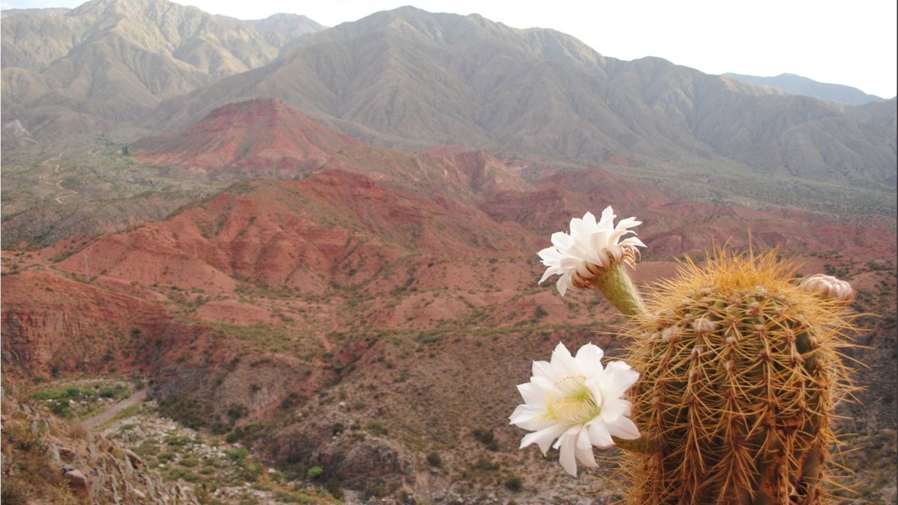 Visita A Chilecito E Cuesta De Miranda foto 2