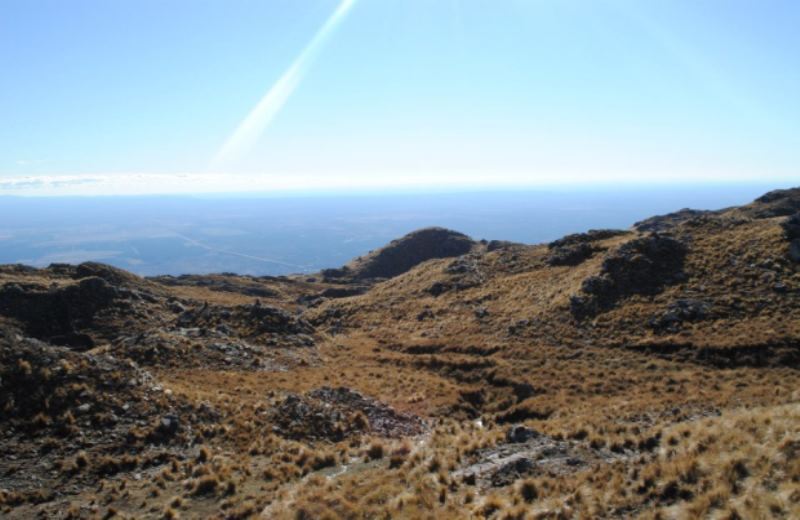 Visita A Merlo foto 8