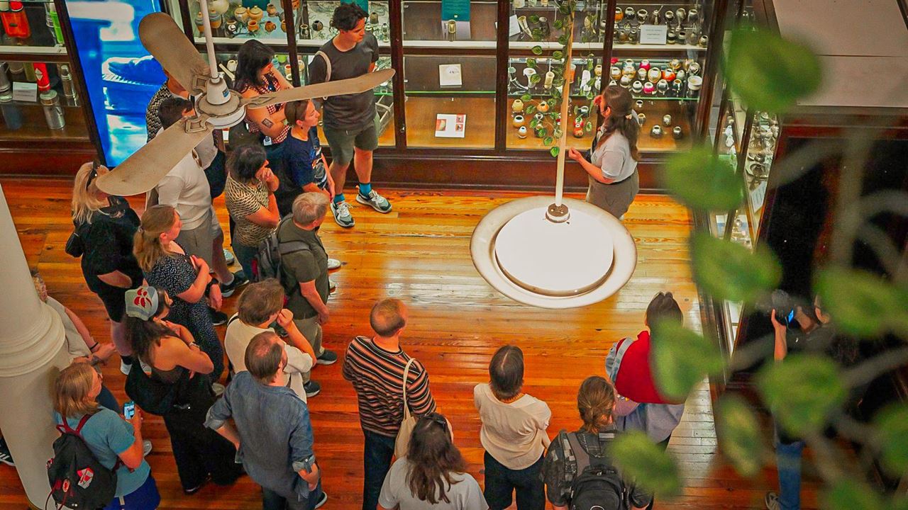 Visita Al Museo Del Mate foto 5