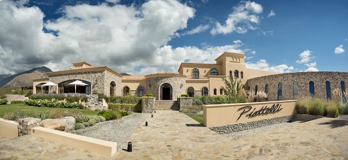 Wine Tasting And Picnic At Bodega Piattelli foto 3