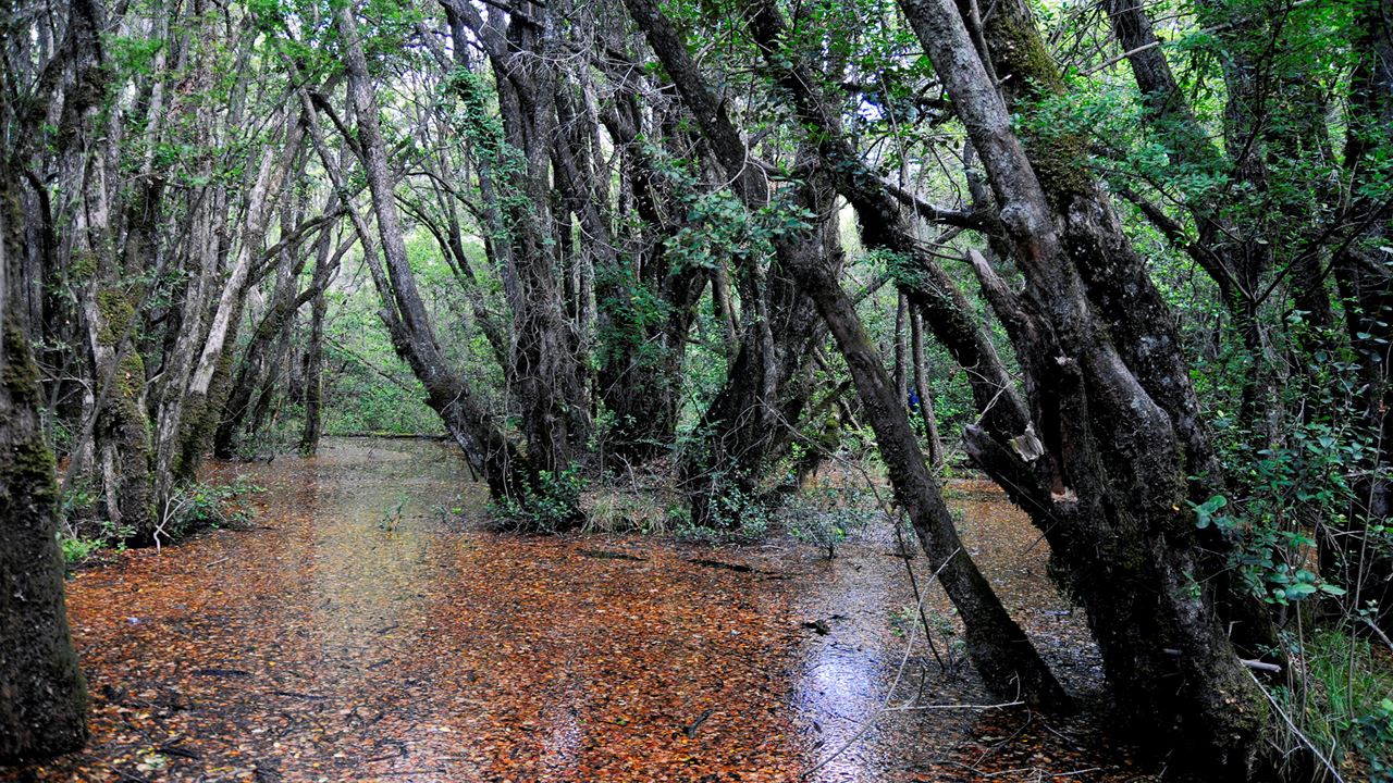Visite El Bolson E O Lago Puelo foto 8