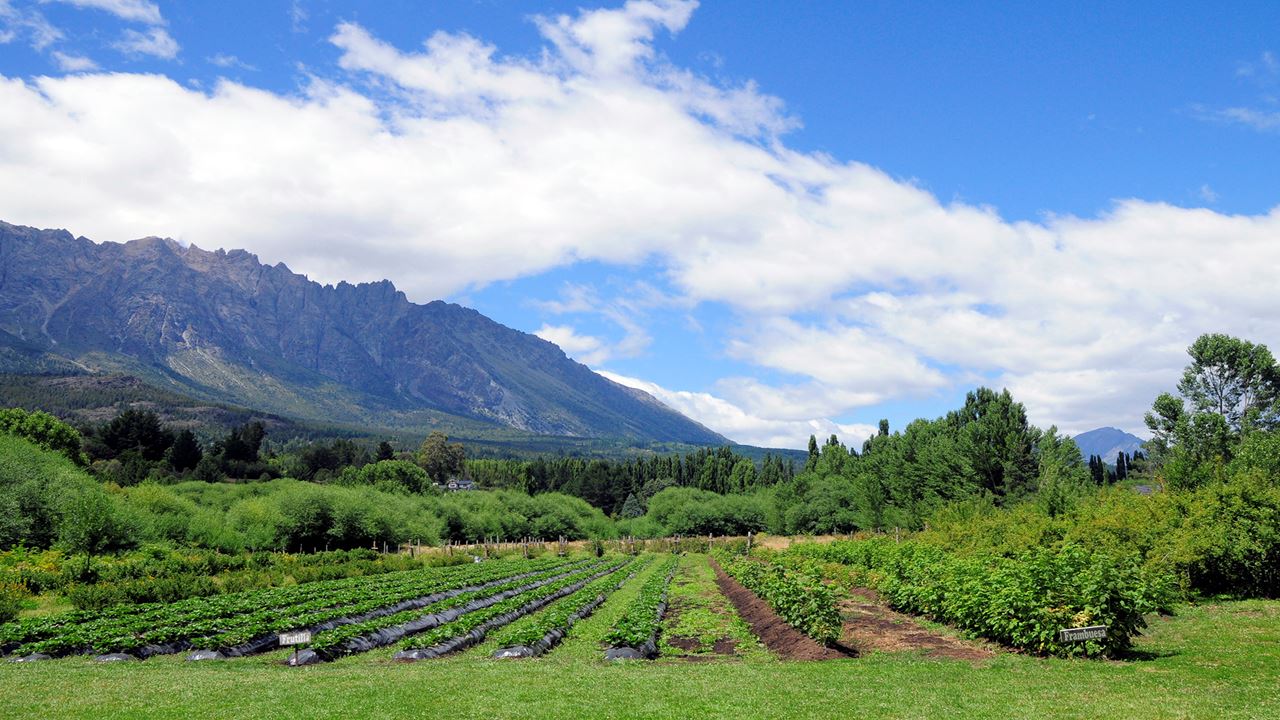 Visite El Bolson E O Lago Puelo foto 7