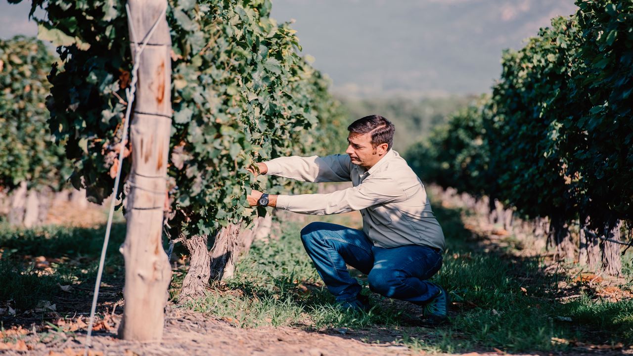 Wine Tour And Wine Tasting At Bodega El Esteco foto 7