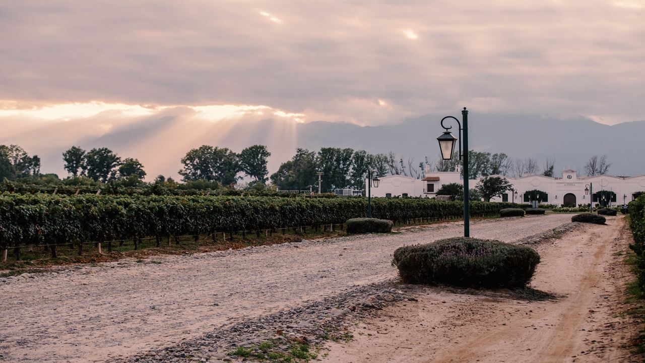 Wine Tour And Wine Tasting At Bodega El Esteco foto 9