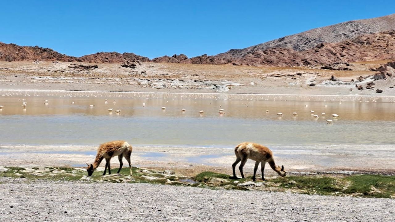 Galán Volcano foto 7
