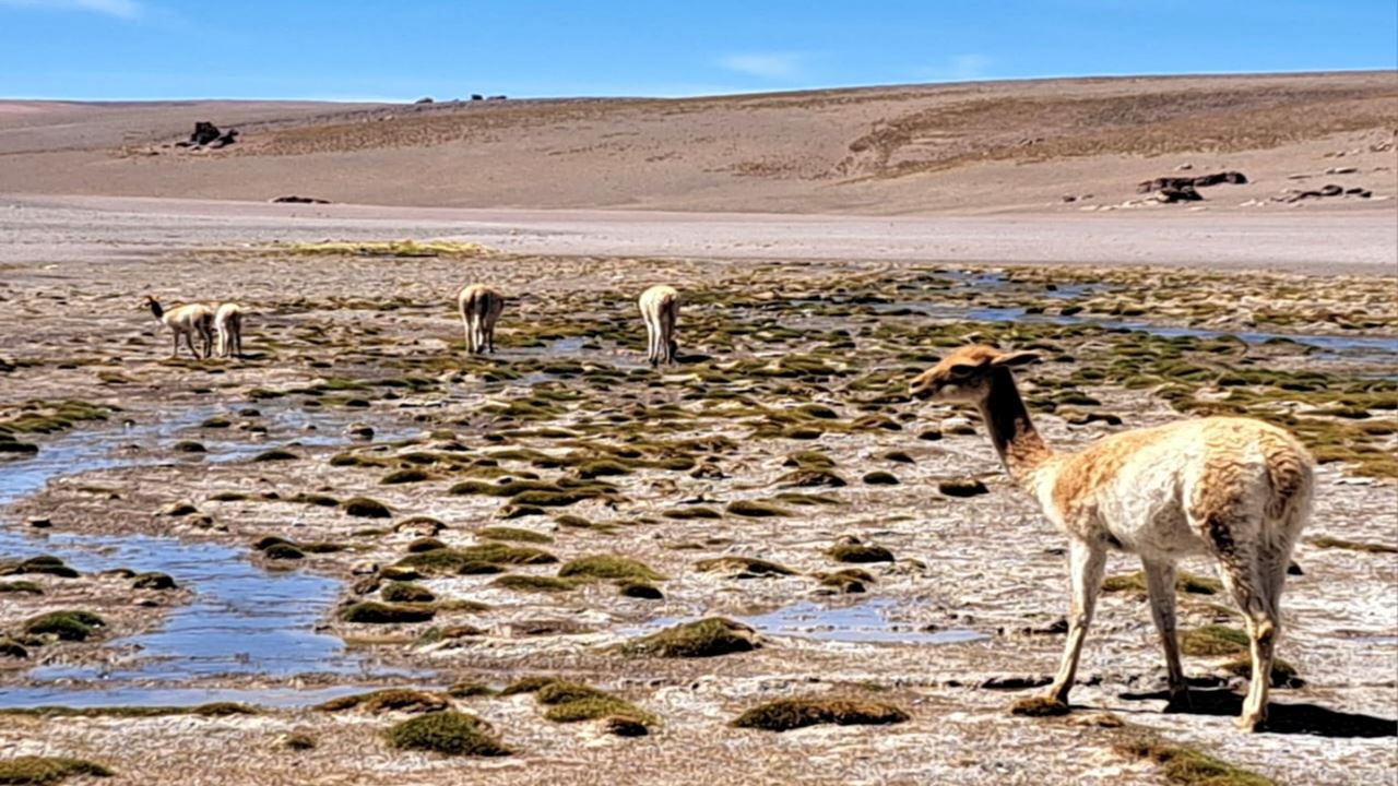 Galán Volcano foto 1