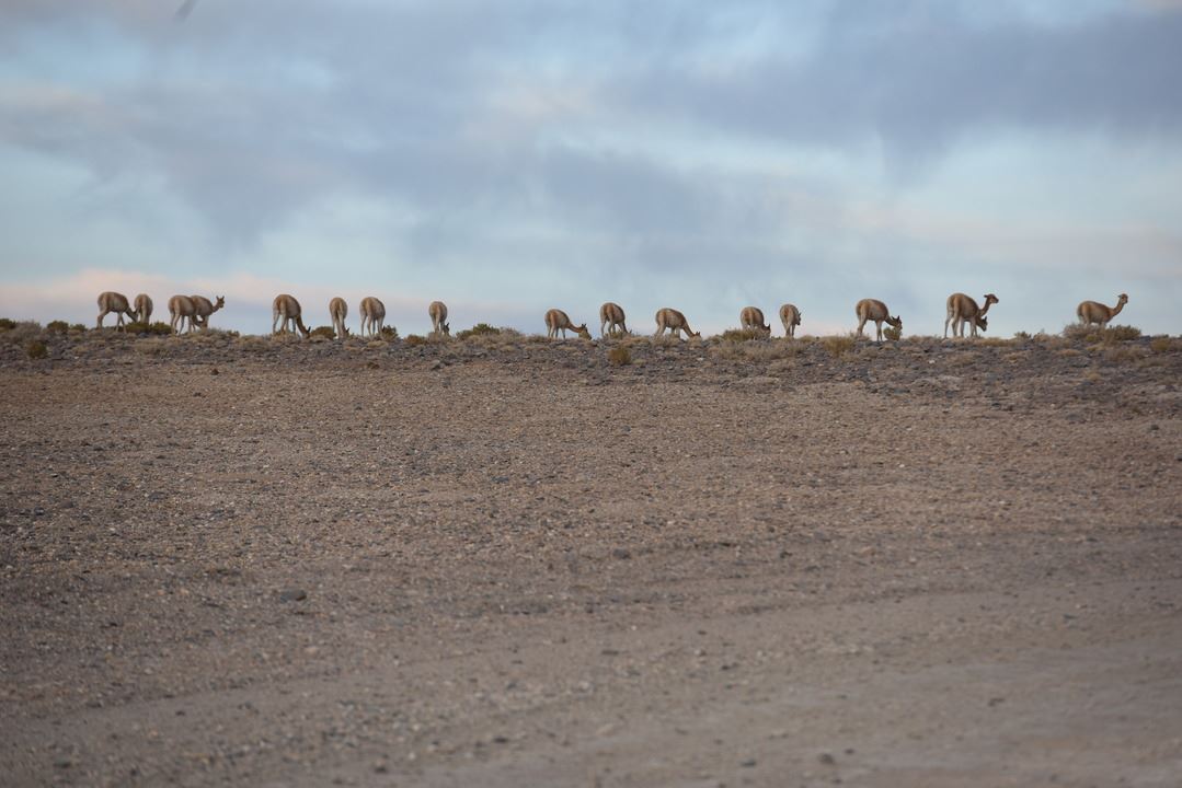 Galán Volcano foto 9