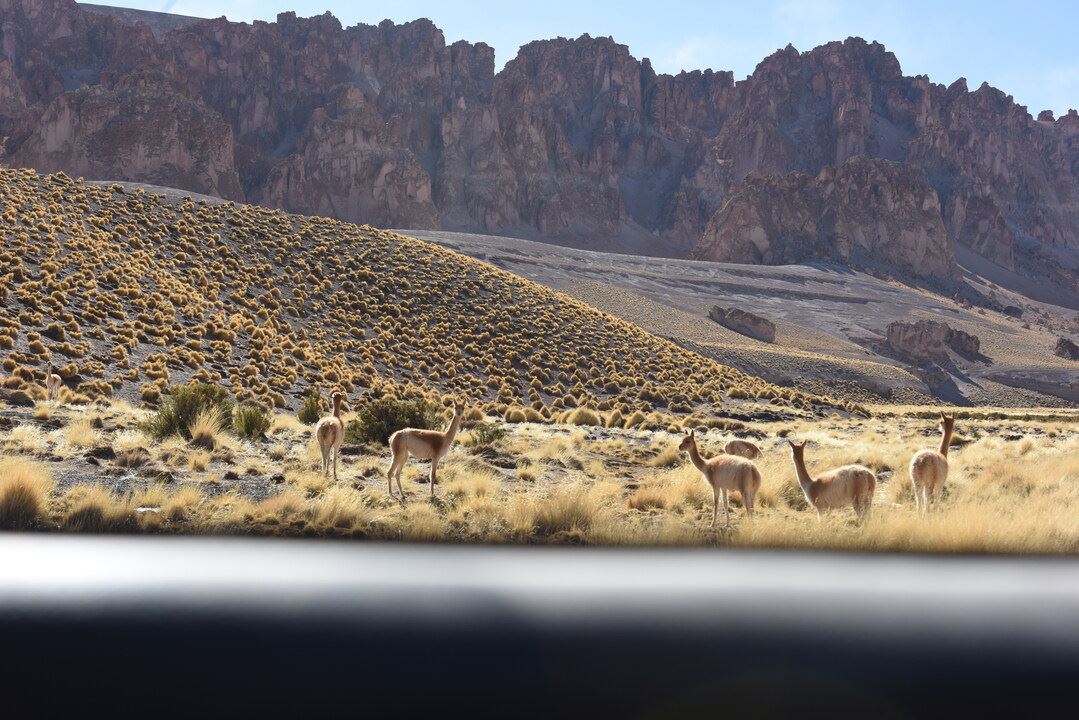 Galán Volcano foto 11