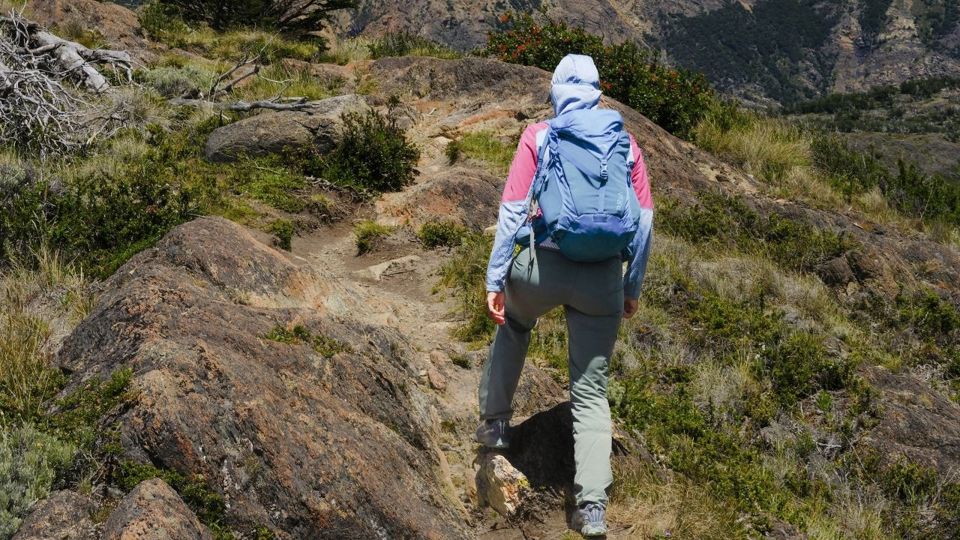 Vuelo En Avion Premium En El Chalten foto 5