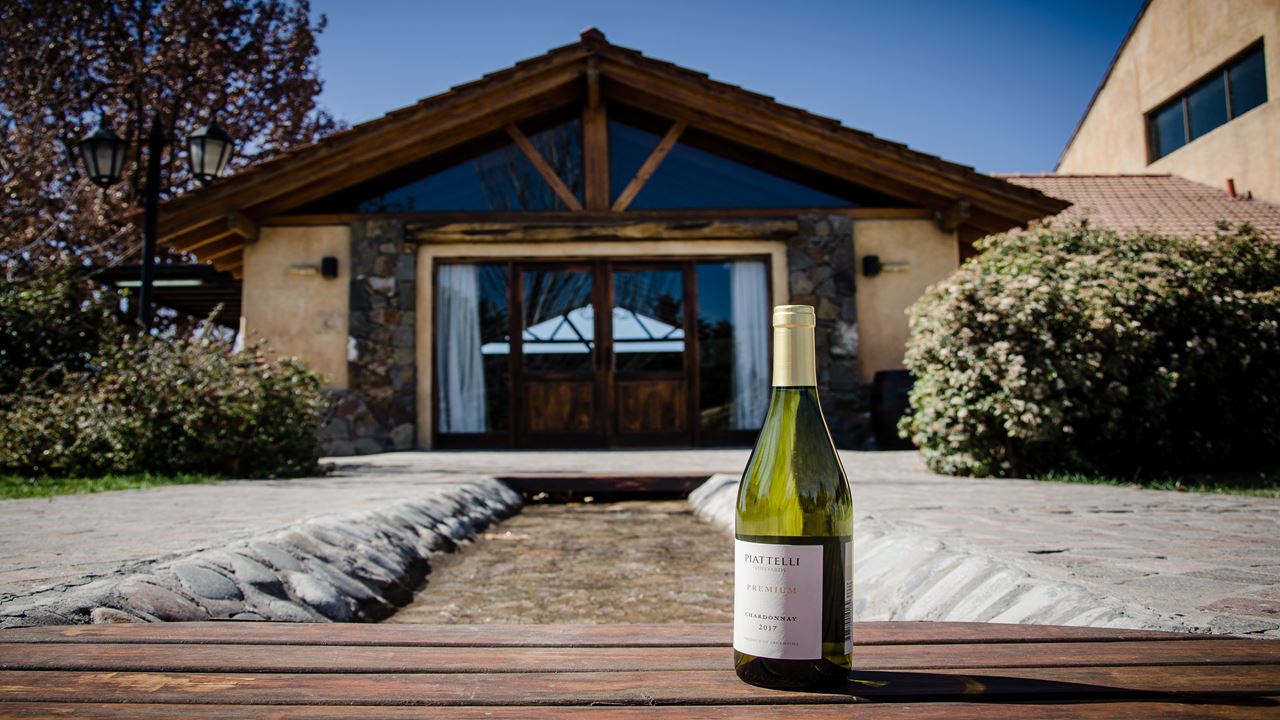 Cata De Vinos Y Almuerzo En Lujan De Cuyo