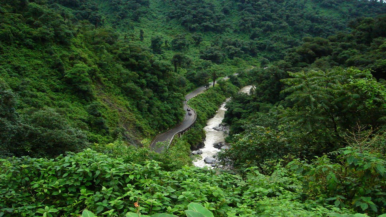 Circuito De Menino Com Yungas
