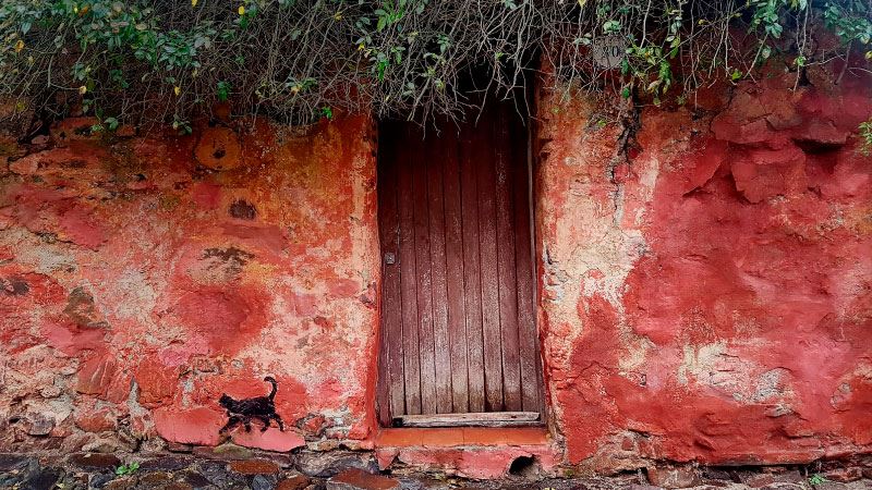 Must-see Colony In One Day
