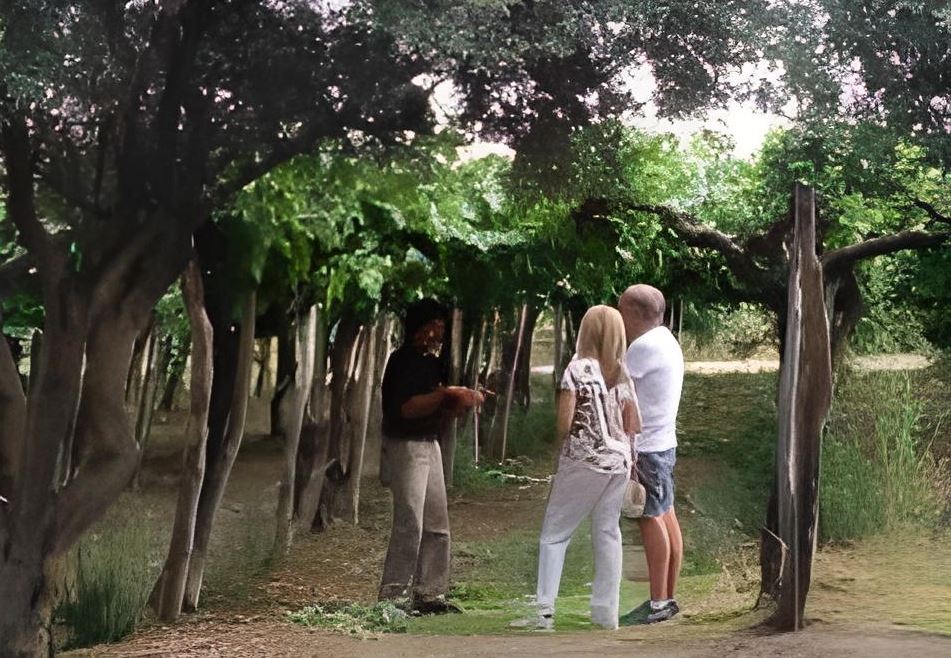 Degustação De Vinhos E Queijos Premium