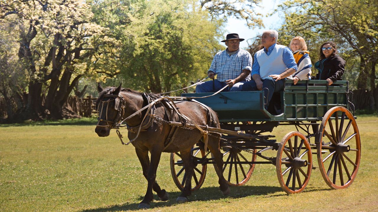 Country Day At The Ranch El Ombu De Areco