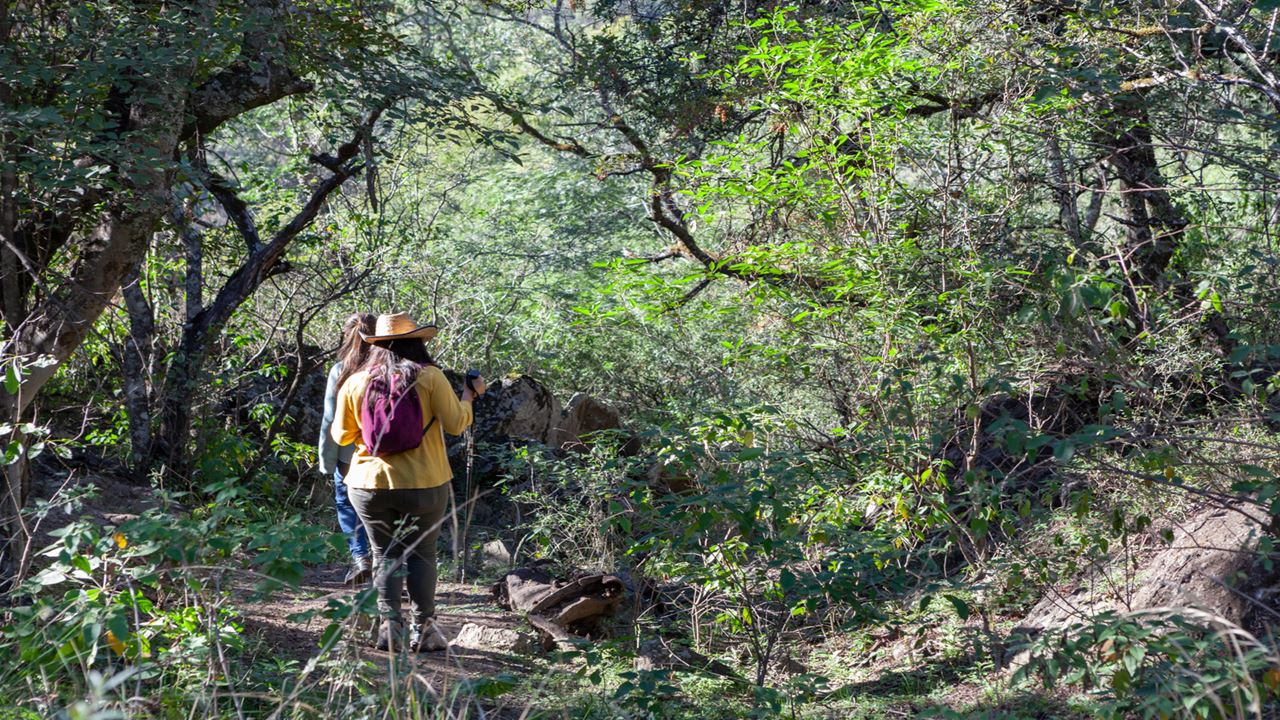 Excursión A La Tunita Ancasti En Privado