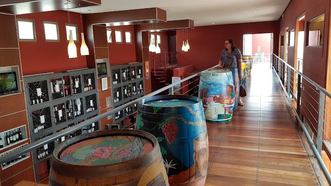 Wine Museum And Tasting