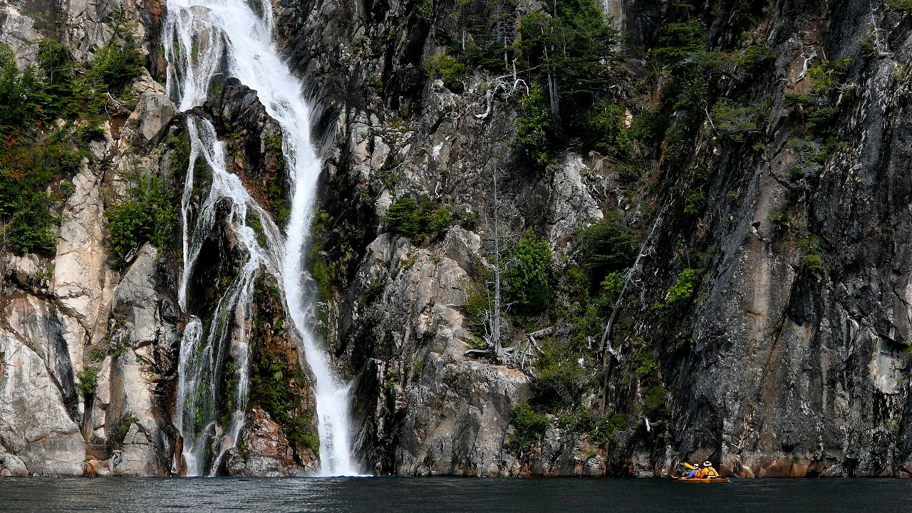 Boat Tour And Hike On Brazo Tristeza
