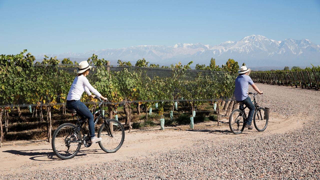 Bike Tour Through Wineries